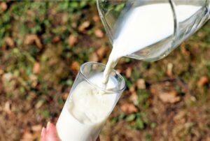 Bikin Shock! Manfaat Susu yang Bisa Mengubah Hidup Anda!