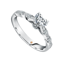 5 Hal Ini Ternyata Perlu Diperhatikan Saat Memilih Cincin Tunangan !
